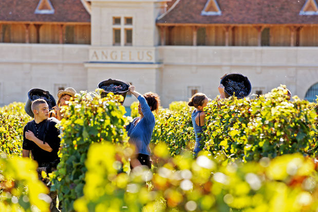 Τα «αγαπημένα» του Master of Wine-1