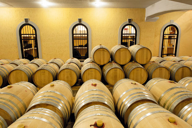 Οινοτουρισμός: Γνωρίζοντας τα αμπελοτόπια-5