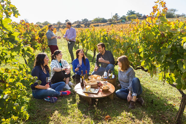 Οινοτουρισμός: Γνωρίζοντας τα αμπελοτόπια-2