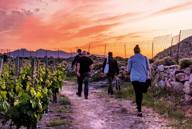 Οινοτουρισμός: Γνωρίζοντας τα αμπελοτόπια-3