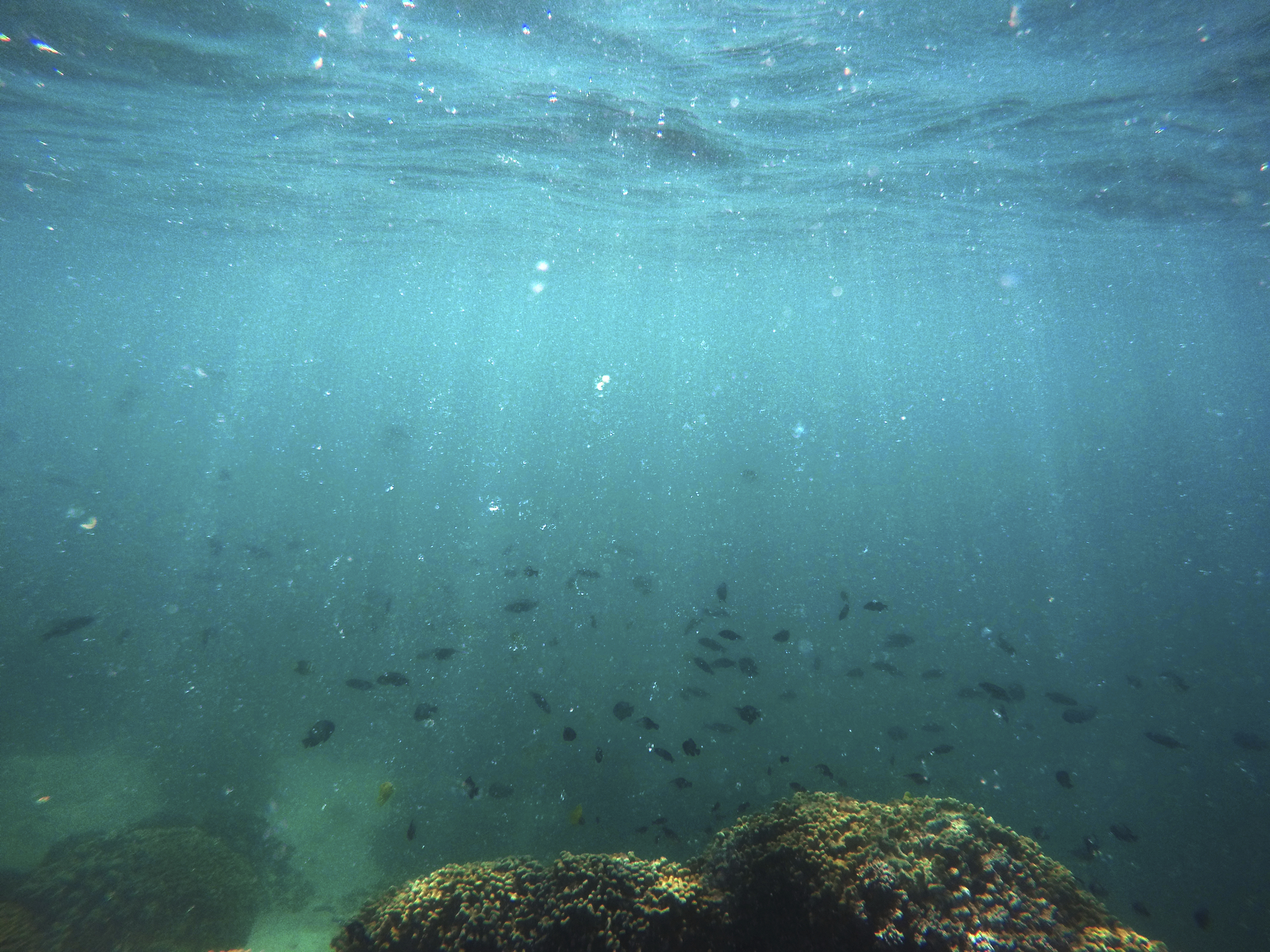 Εκθεση ΟΗΕ καλεί για επείγουσα δράση κατά της κλιματικής αλλαγής  – Σήμα κινδύνου εκπέμπει η WWF-2