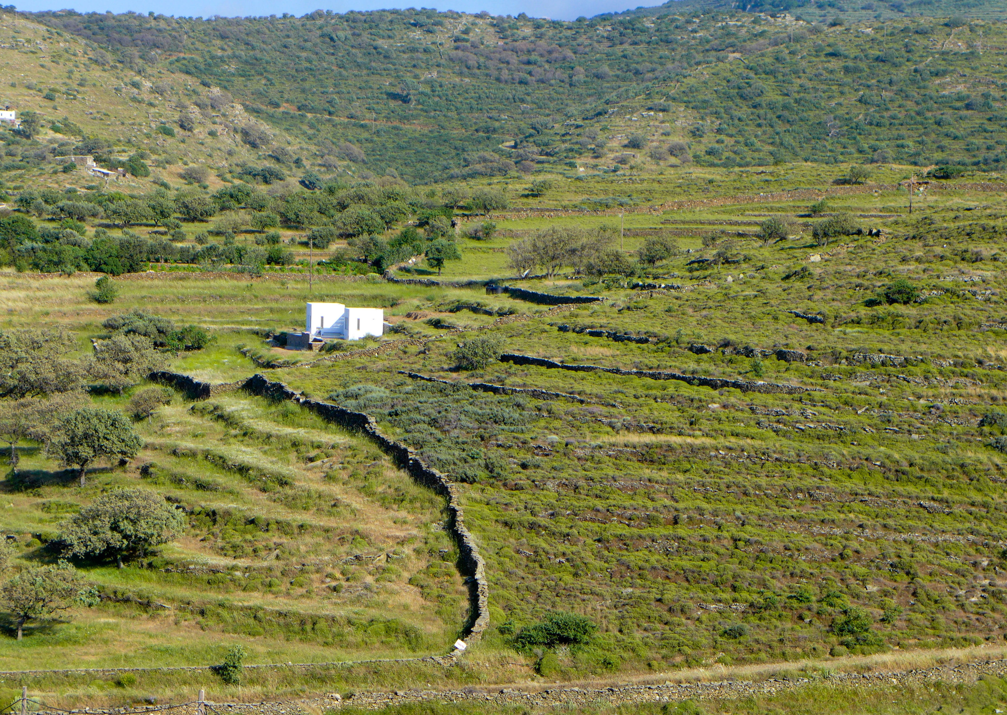 Κατασκηνώνοντας «σπιτικά» στο νησί-1