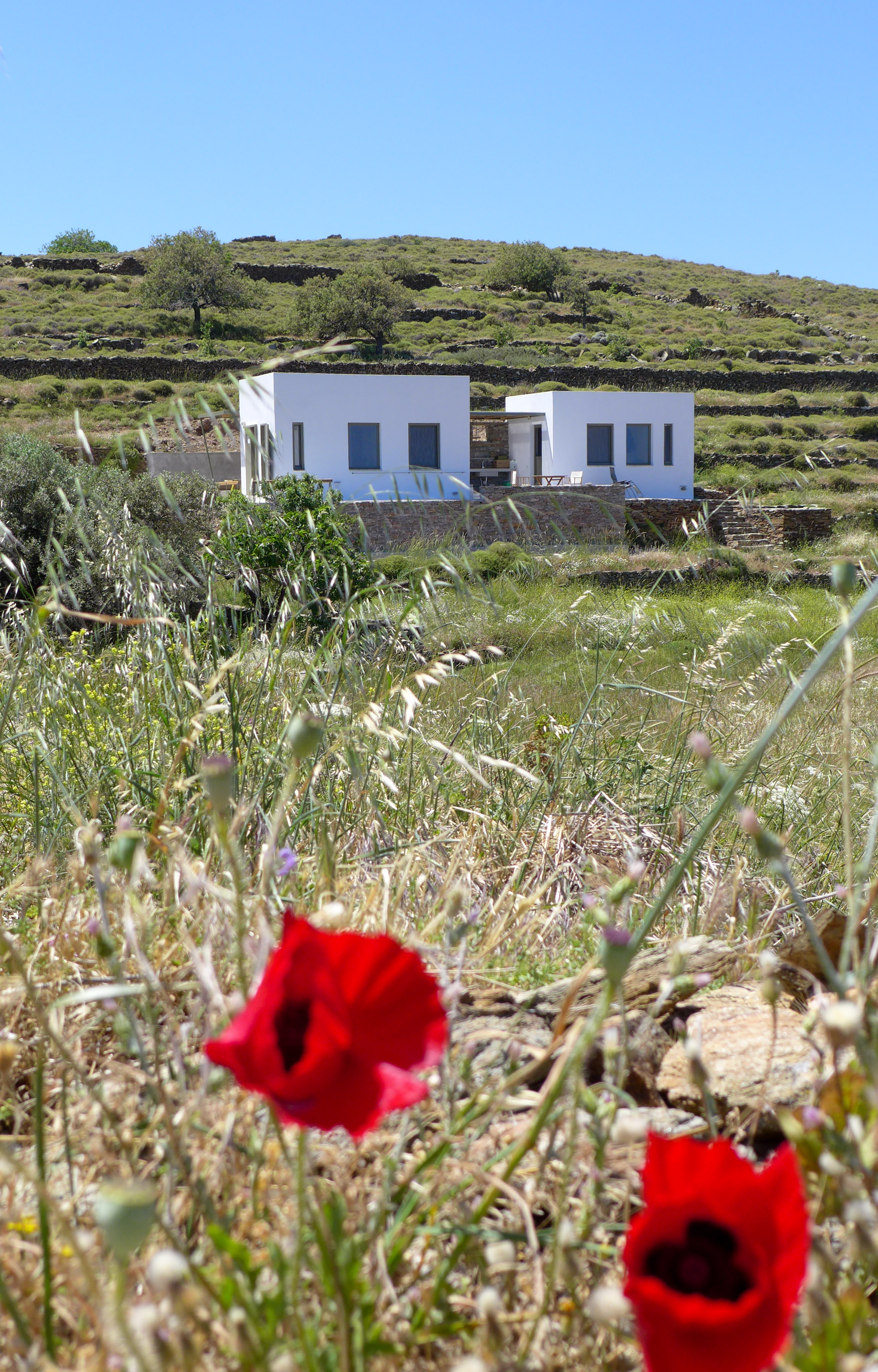 Κατασκηνώνοντας «σπιτικά» στο νησί-2