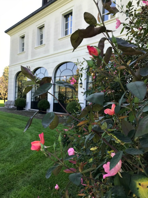 Beauty αποστολή: Στον φυσικό, μαγικό κόσμο της L’Erbolario-2