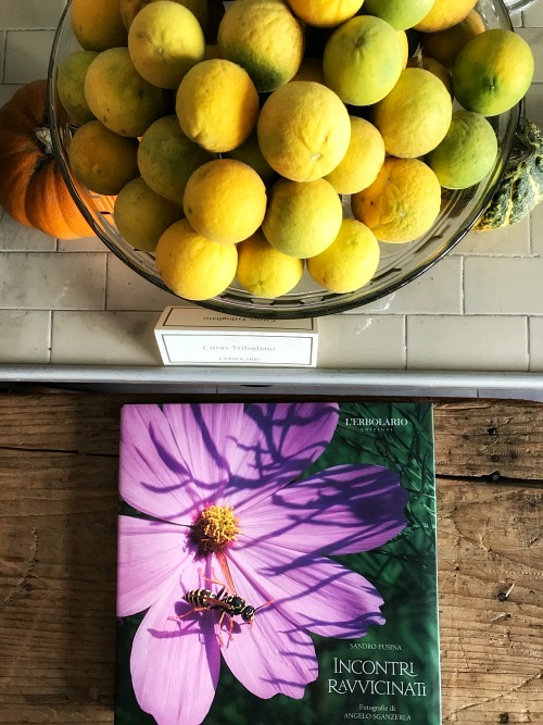 Beauty αποστολή: Στον φυσικό, μαγικό κόσμο της L’Erbolario-4