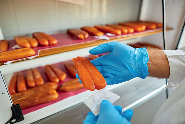 Mεσολόγγι: Εύθραστες ισορροπίες-3