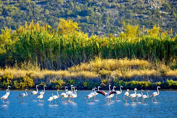 Mεσολόγγι: Εύθραστες ισορροπίες-2