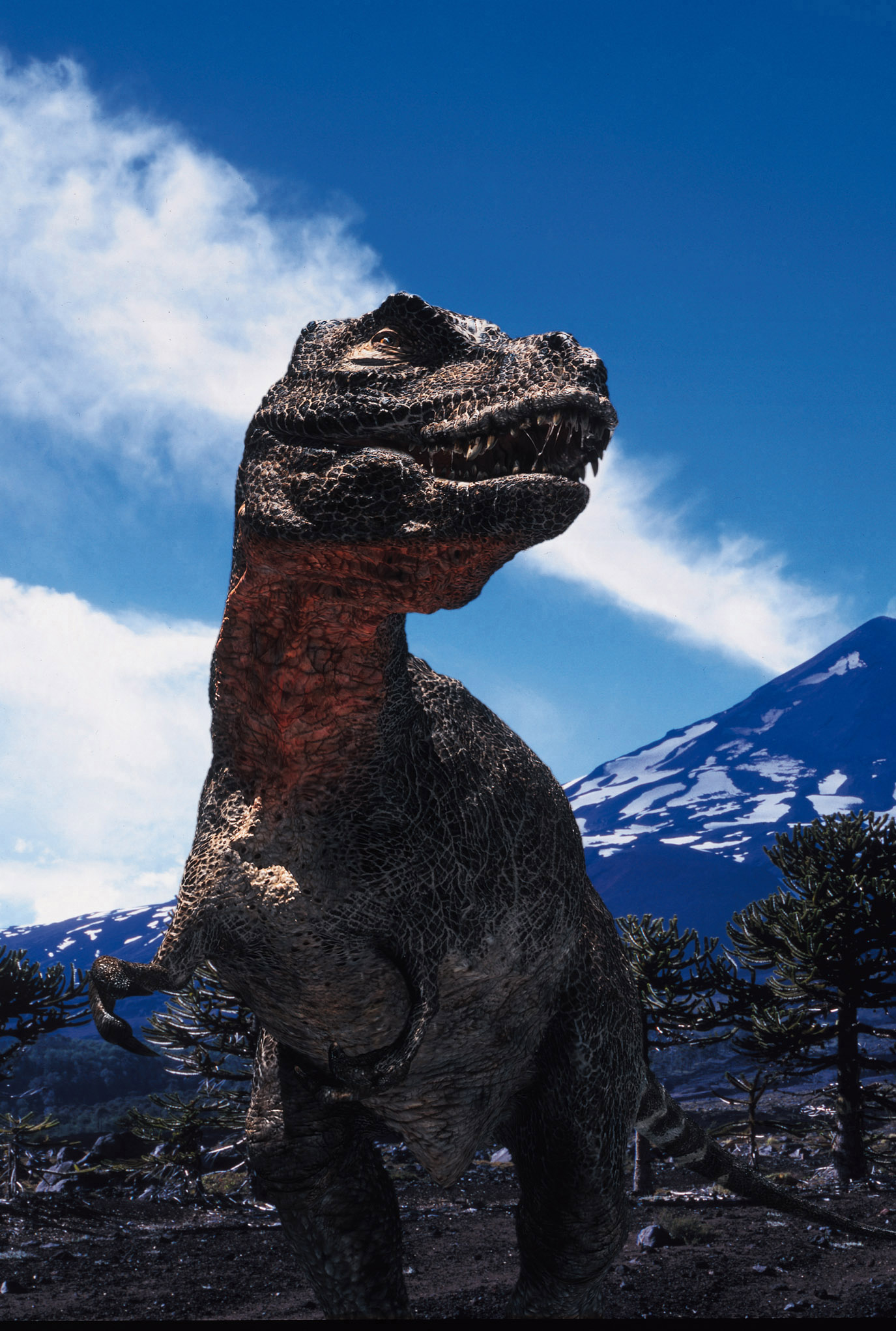 Times: Τα χρωματιστά αυγά «προέρχονται» από τους δεινόσαυρους-1