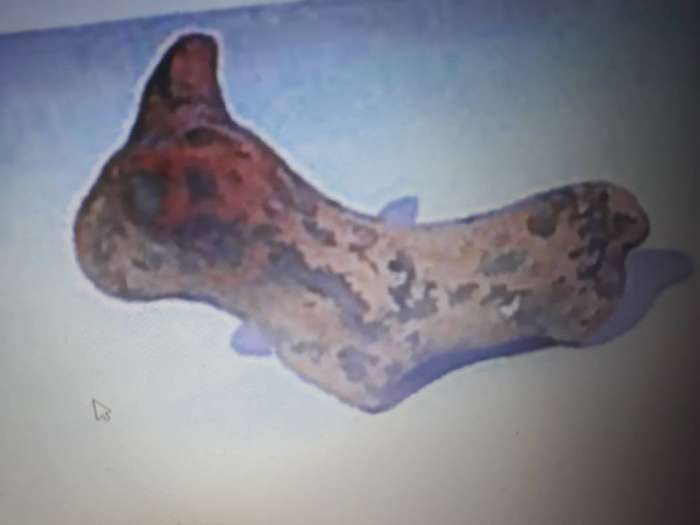 Φοιτητής βρήκε Μινωικό ειδώλιο στον Ψηλορείτη-1