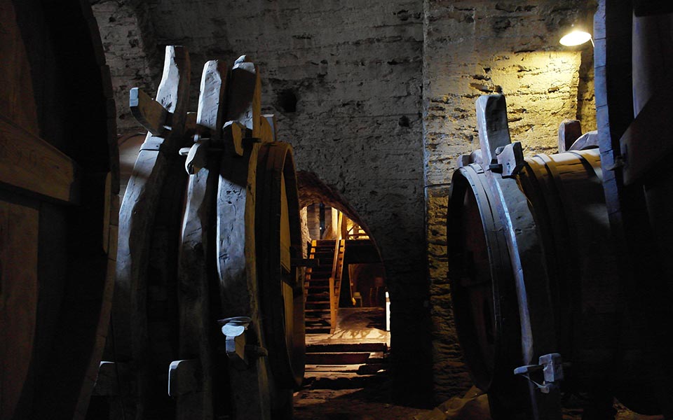 Υπηρετώντας την αγιορείτικη άμπελο-2