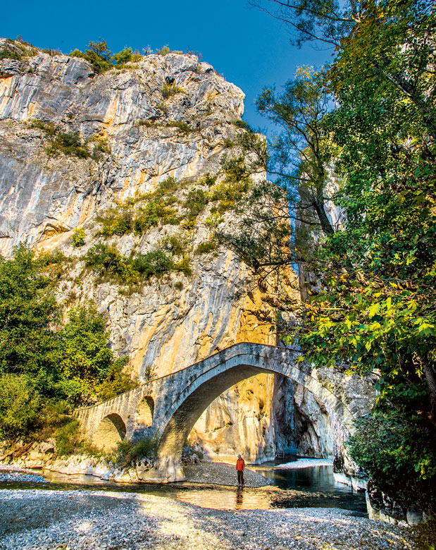 Γρεβενά: Τι κρύβει το δάσος;-4