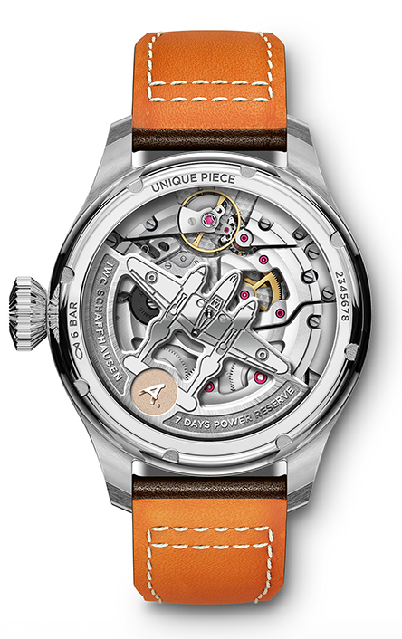 Ένα IWC σε δημοπρασία για καλό σκοπό-3