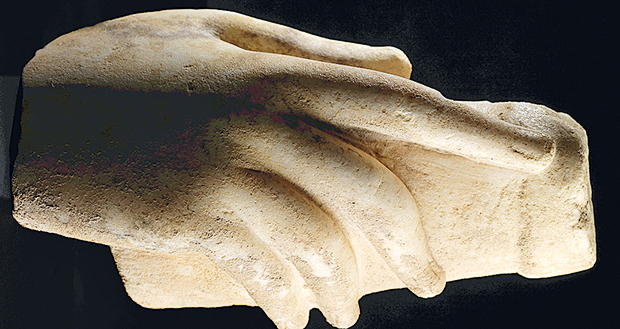 Αγνωστα «μοντέλα» στον φακό-1