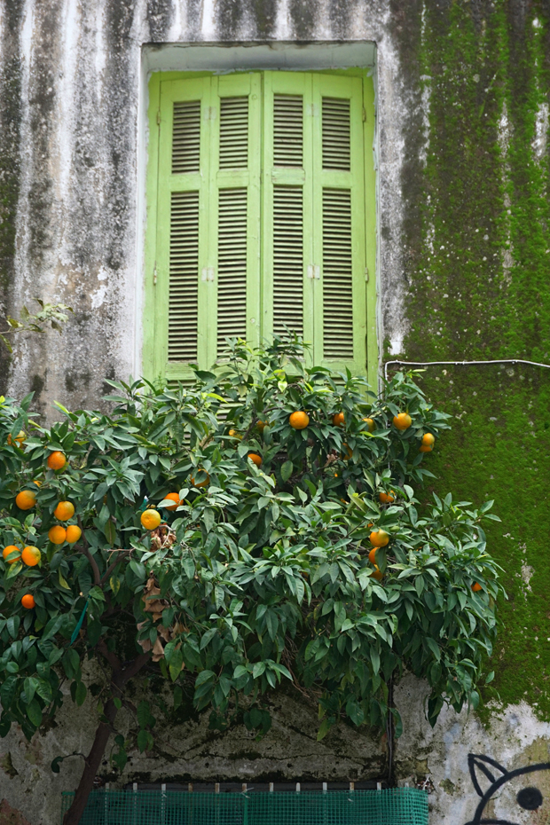 Το σπίτι με τα βρύα, Αιγέως και Περγάμου γωνία-1
