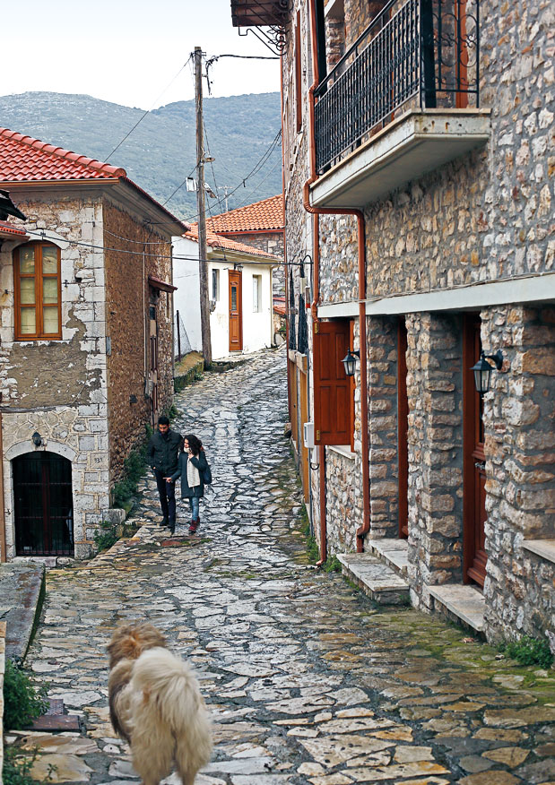 Ανδρίτσαινα | Hλεία: Ήρεμη δύναμη-1