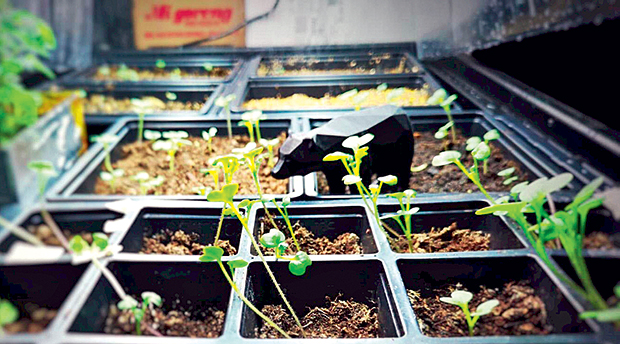 Η Ελλάδα, γόνιμο έδαφος για αγροτεχνολογία-5