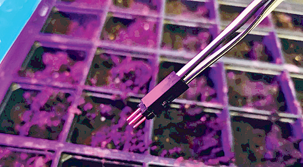 Η Ελλάδα, γόνιμο έδαφος για αγροτεχνολογία-4