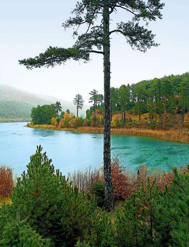Τρίκαλα Κορινθίας – Στυμφαλία: Στις πλαγιές της Ζήρειας-1
