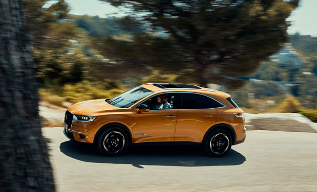 Γύρος Λίμνη Πλαστήρα: Με φόντο πράσινο-μπλε-2