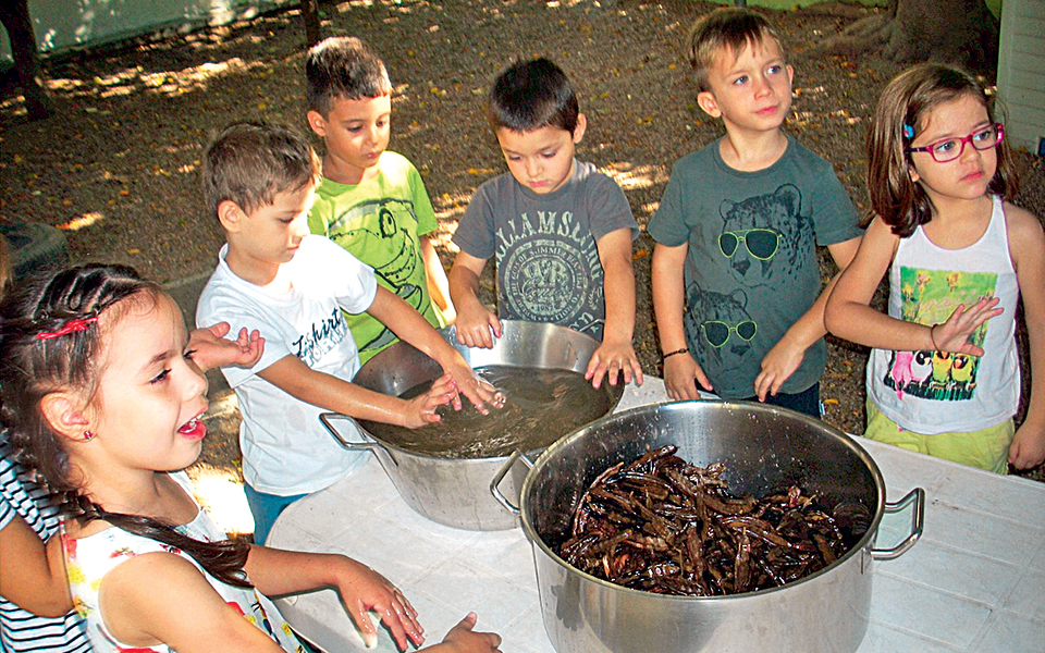 Το περιζήτητο, συναρπαστικό «Περιβόλι της Γιαγιάς»-2
