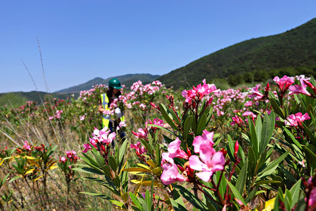 Σημαντική διάκριση για το «Πρόγραμμα Περιβαλλοντικής Παρακολούθησης» της Ελληνικός Χρυσός στο Θεσμό Bravo 2018-1