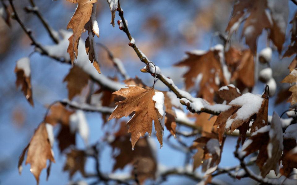 Με χιόνια και βροχές τα Χριστούγεννα – Πρόγνωση του καιρού μέχρι και την Πέμπτη-2