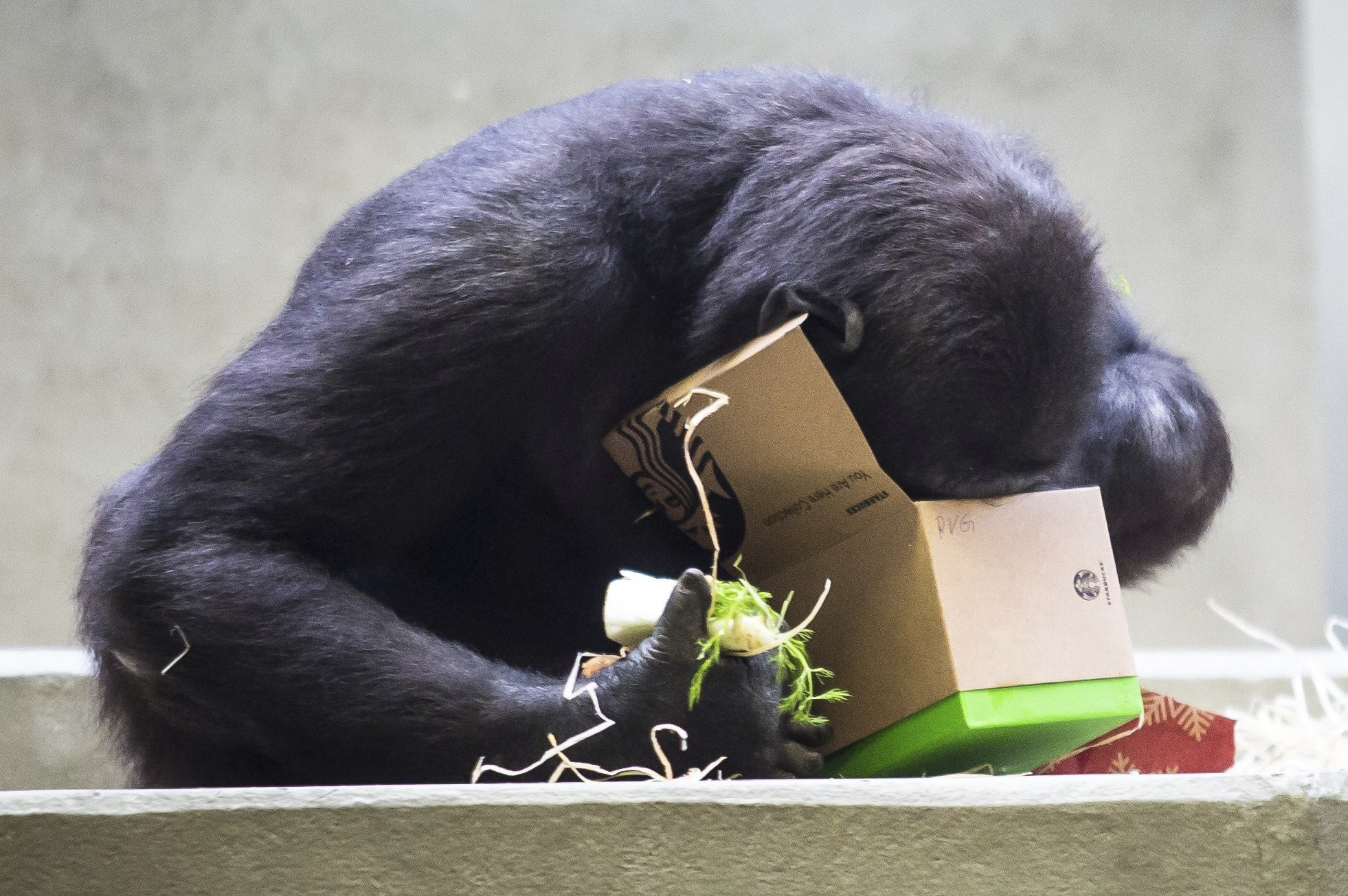 Χριστούγεννα ανά τον κόσμο μέσα από φωτογραφίες-24