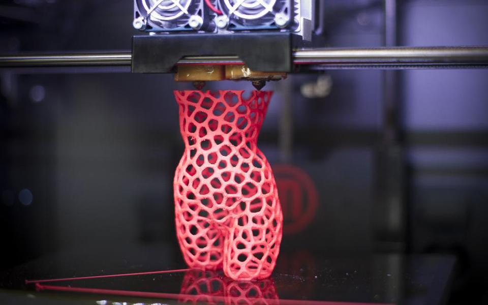 Αναζητώντας το μυστικό της μακροζωίας-2