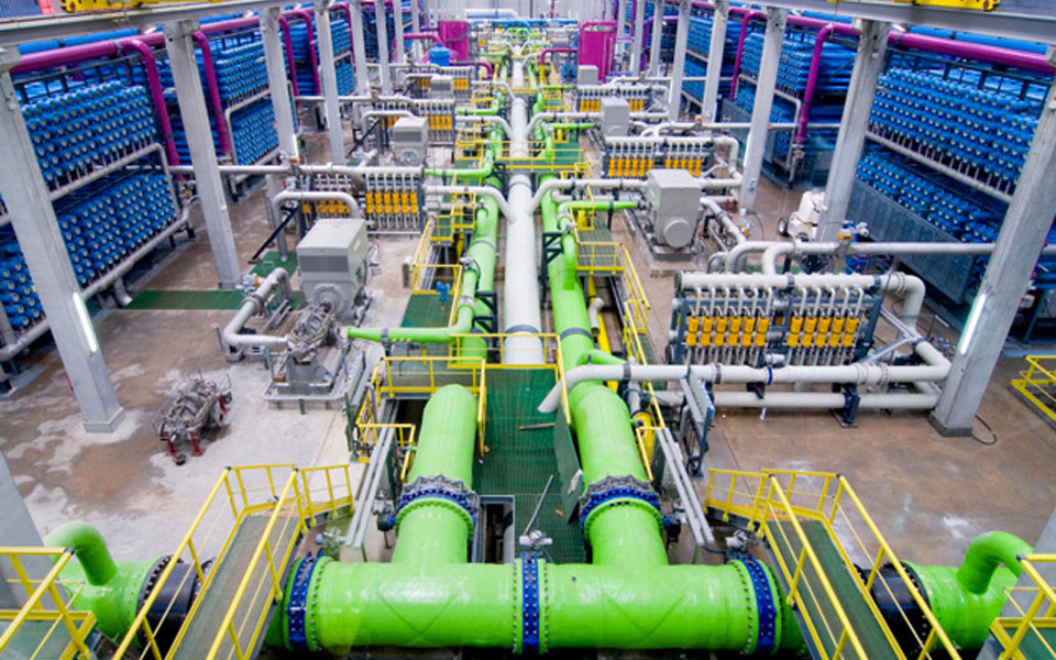 Αναζητώντας το μυστικό της μακροζωίας-4