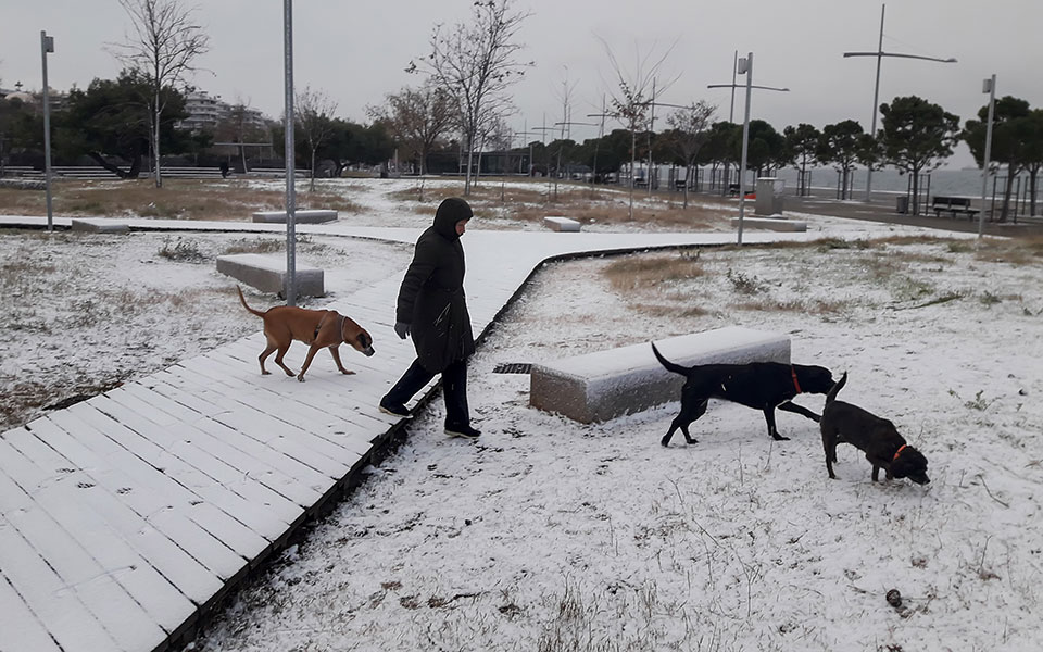 «Ντύθηκε» στα λευκά η Θεσσαλονίκη (φωτογραφίες)-2