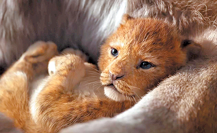 To 2019 σε μια δεκάδα φιλμ-2