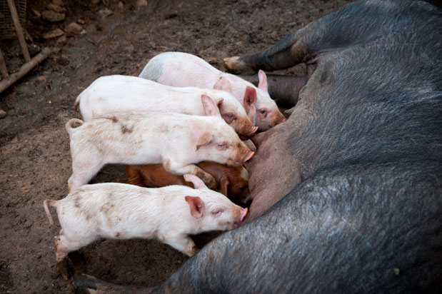 Ρέθυμνο εκτός εποχής-5