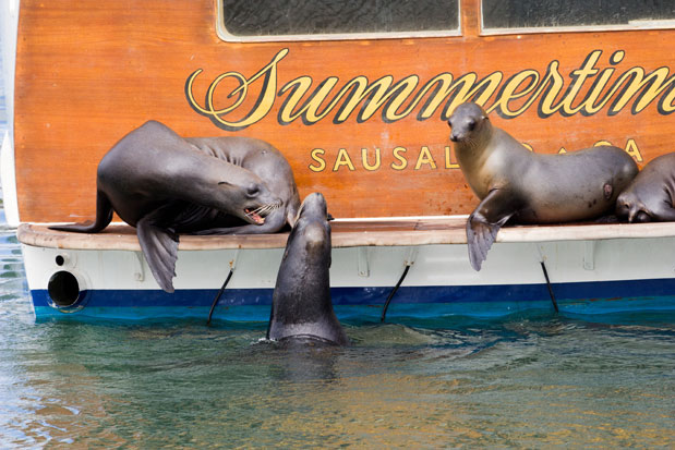 Λος Άντζελες by locals-4