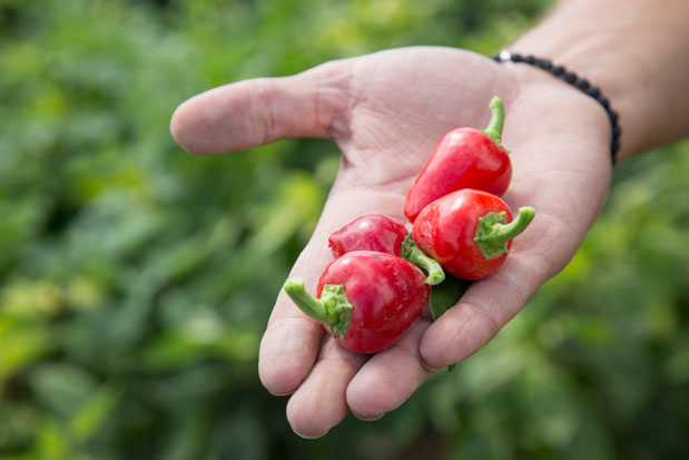 Οι λίμνες της Φλώρινας-6