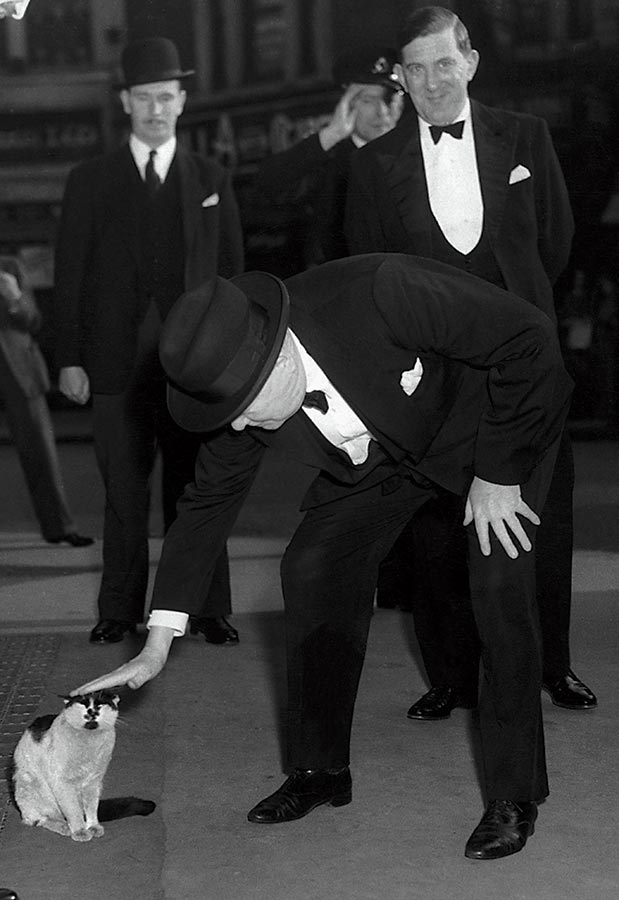 Οι άντρες που αγάπησαν τις γάτες-1