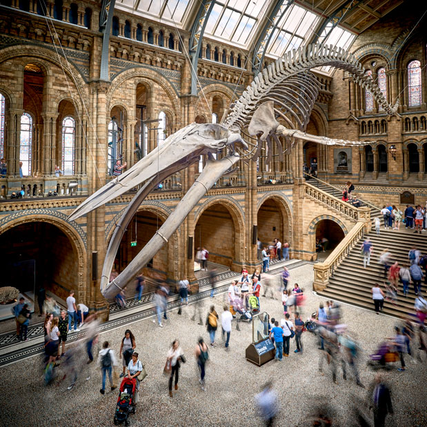 Στο Λονδίνο με τα παιδιά-2