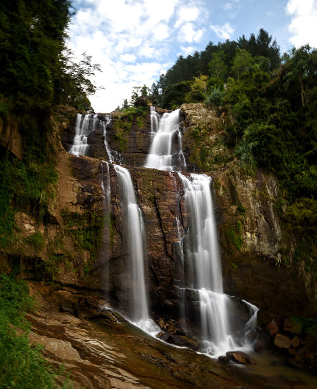Ο κόσμος του τσαγιού-1