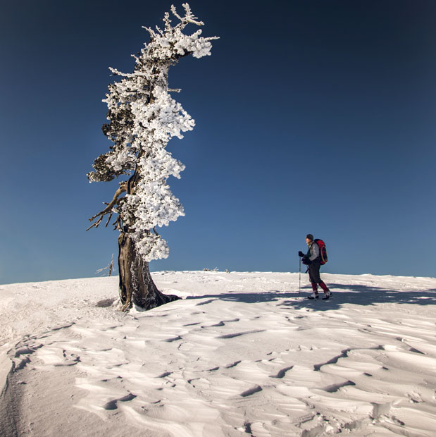 Βαλάντης Γιαννούλας: Instagrammer-1
