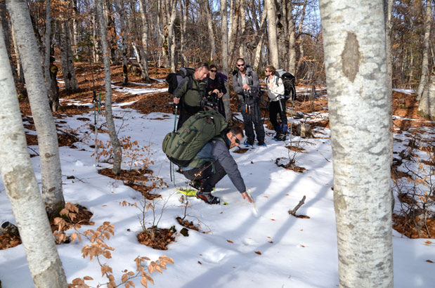 Διακοπές με την άγρια ζωή-1