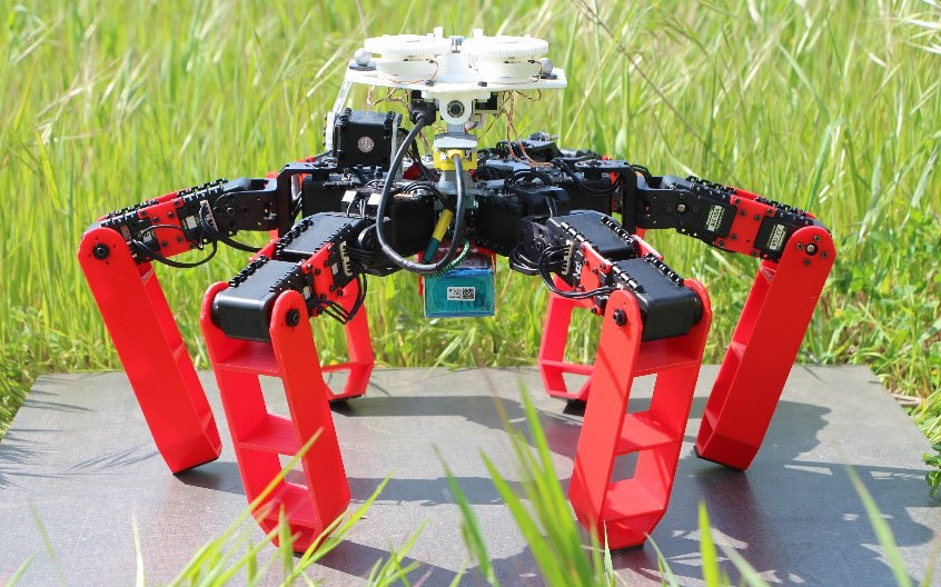 Κατασκευάστηκε το πρώτο ρομπότ που κινείται με ουράνια πυξίδα, χωρίς GPS (φωτογραφία-βίντεο)-1