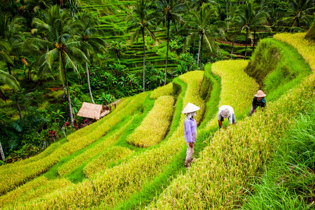 Αφιέρωμα Γάμος: Τα ταξίδια των νεόνυμφων-2