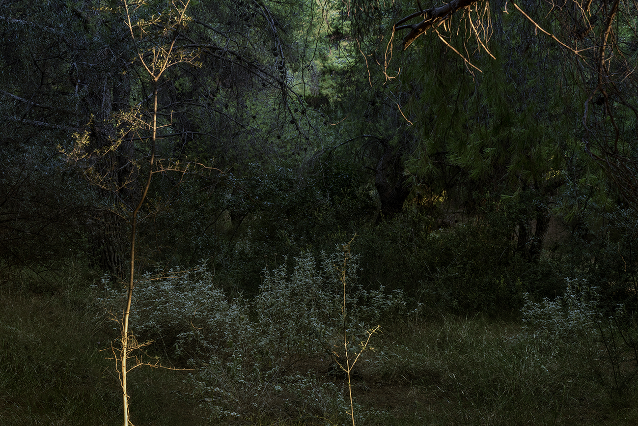 Την πρώτη της ατομική έκθεση φωτογραφίας παρουσιάζει η Νότα Κυριαζή-1