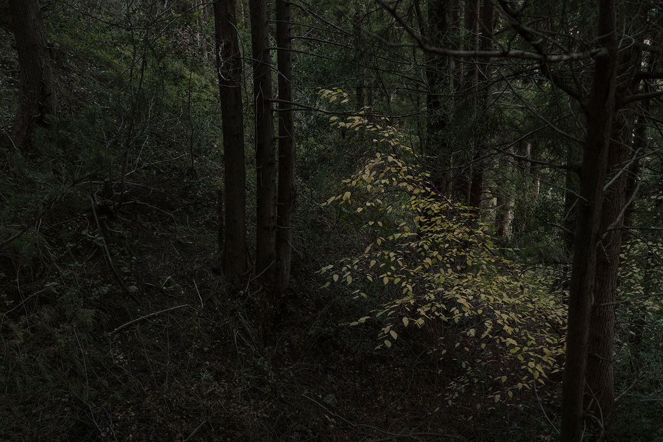 Την πρώτη της ατομική έκθεση φωτογραφίας παρουσιάζει η Νότα Κυριαζή-2