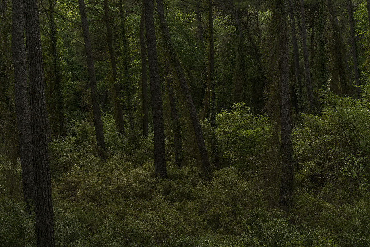 Την πρώτη της ατομική έκθεση φωτογραφίας παρουσιάζει η Νότα Κυριαζή-3