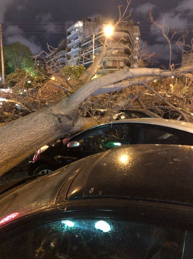 Δέντρο καταπλάκωσε 12 οχήματα στη Νέα Σμύρνη (φωτογραφίες)-1