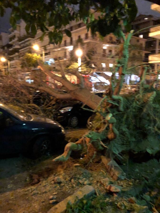 Δέντρο καταπλάκωσε 12 οχήματα στη Νέα Σμύρνη (φωτογραφίες)-2