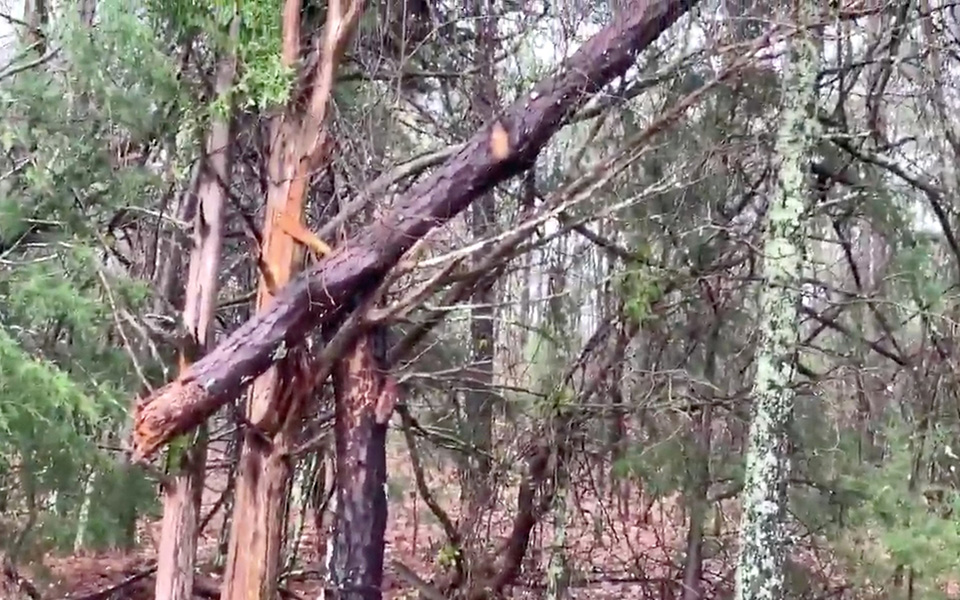 ΗΠΑ: Ανεμοστρόβιλος έπληξε την Αλαμπάμα – Τουλάχιστον 23 νεκροί, τεράστιες καταστροφές (φωτογραφίες – βίντεο)-2