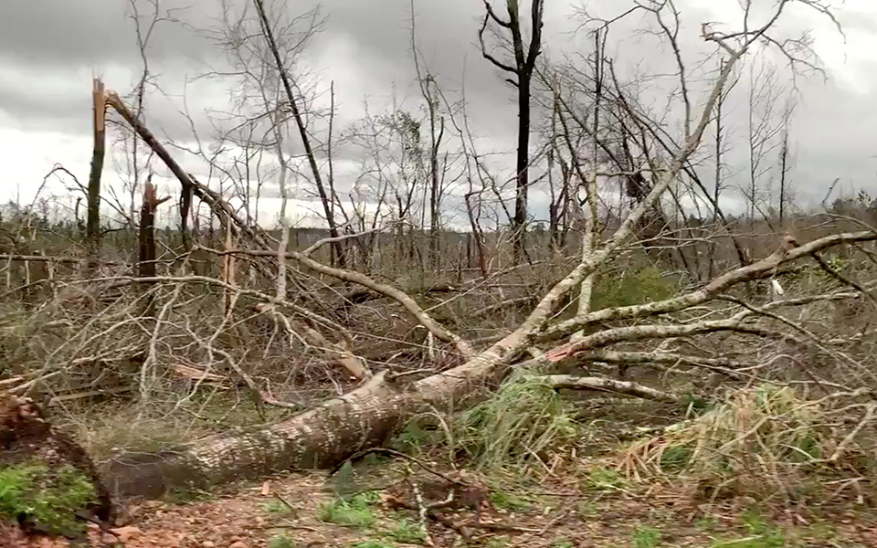 ΗΠΑ: Ανεμοστρόβιλος έπληξε την Αλαμπάμα – Τουλάχιστον 23 νεκροί, τεράστιες καταστροφές (φωτογραφίες – βίντεο)-5