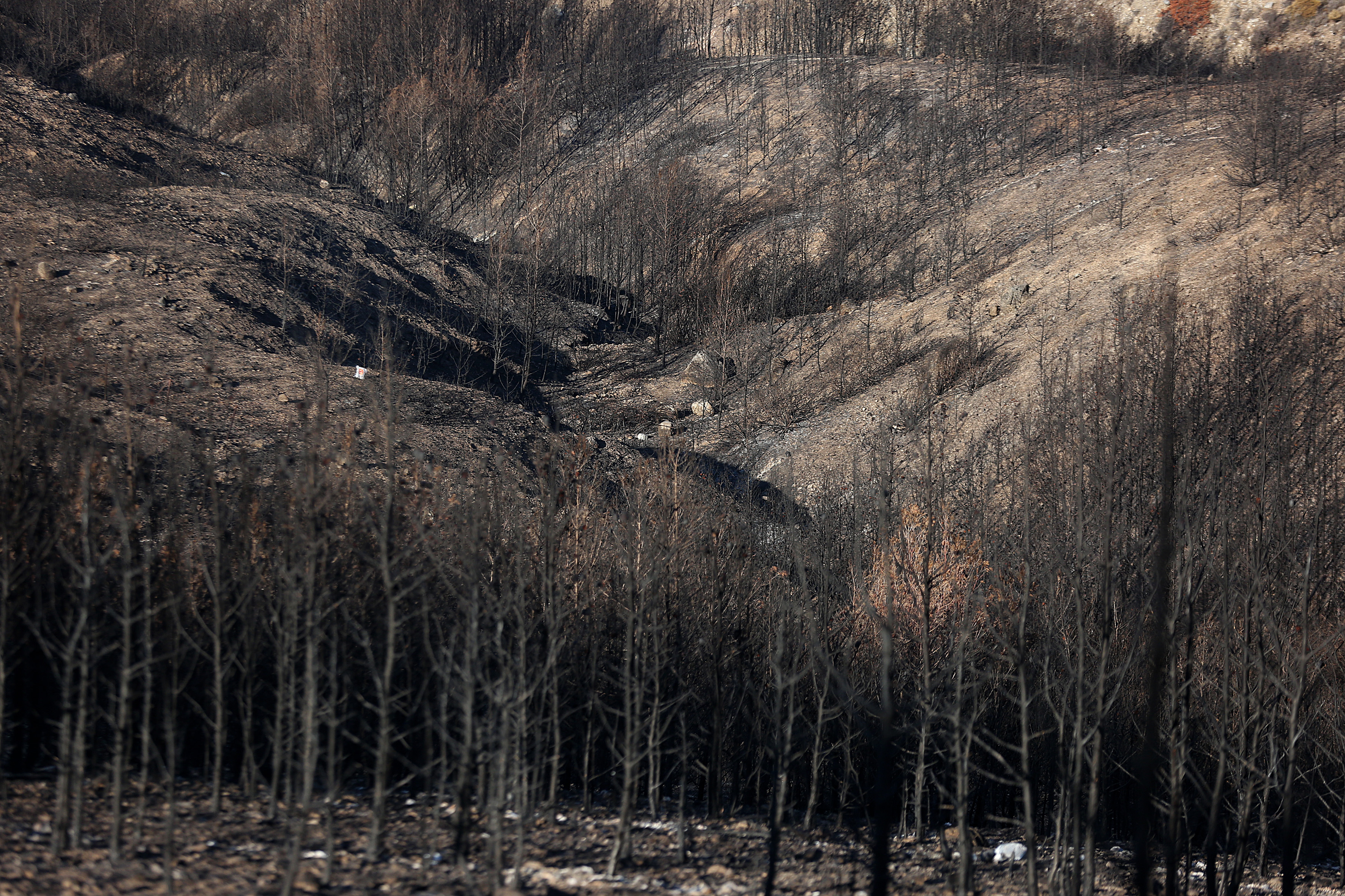 Συγκλονίζει το πόρισμα των εισαγγελέων για το Μάτι-1