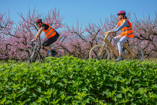 Όταν ανθίζουν οι ροδακινιές-2